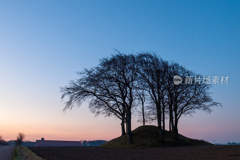 黎明时分，青铜器时代墓丘上的树木剪影