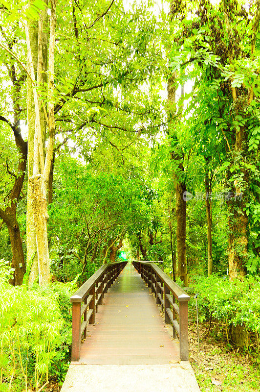 台湾台北植物园