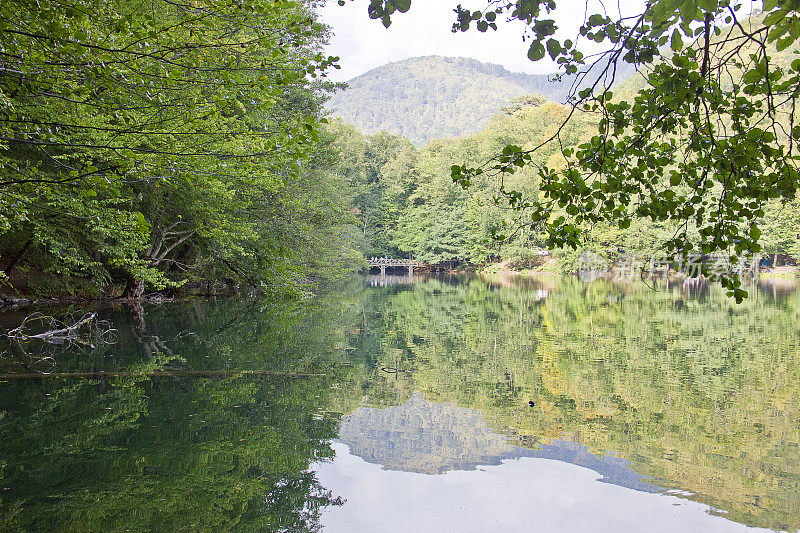 叶迪戈勒湖和森林