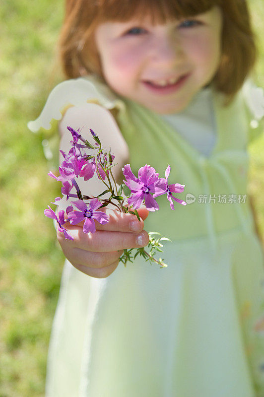 给花