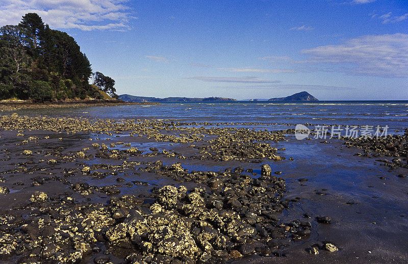 阿莫迪奥湾