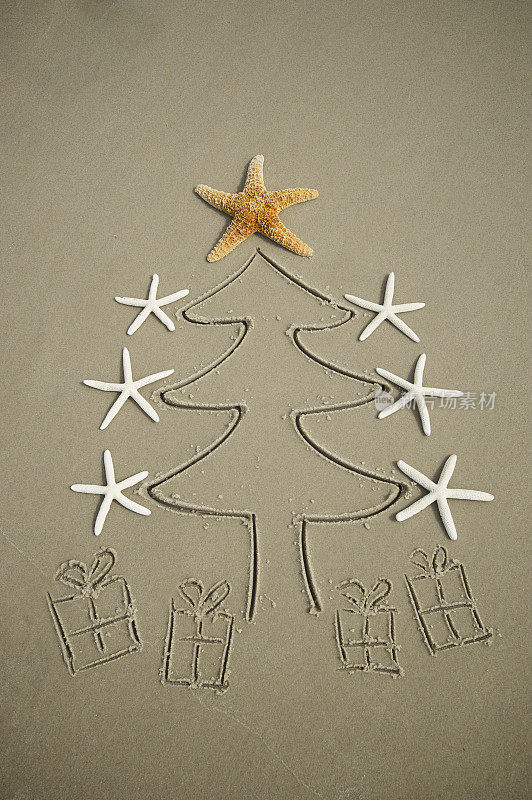 沙圣诞树礼物和海星