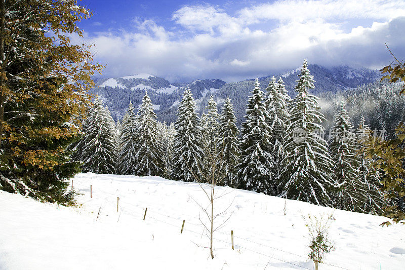 乡村冬季景观与雪在巴伐利亚