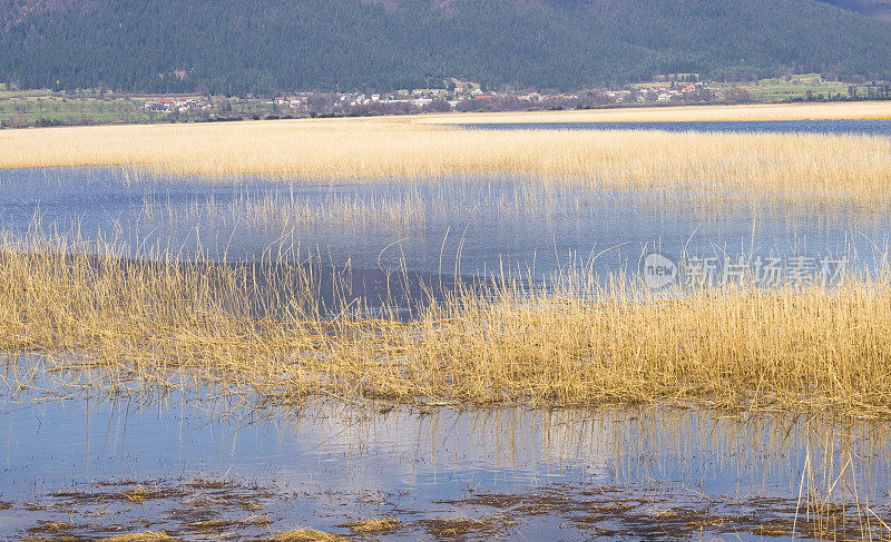 湖的Cerknica