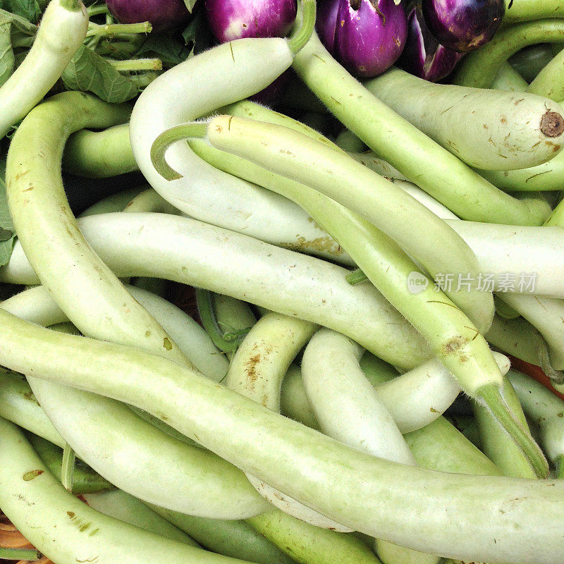 一种不寻常的长蔬菜——长西葫芦