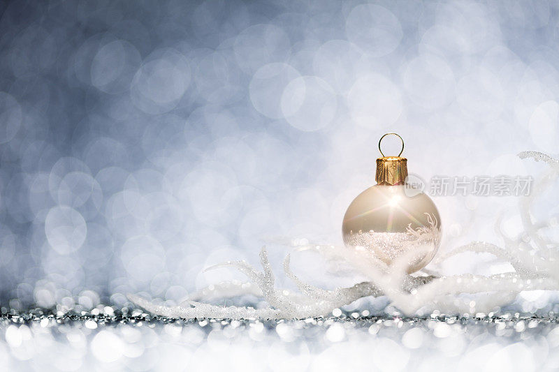 圣诞装饰品-冰冻树枝装饰闪闪烁烁冬季黄金
