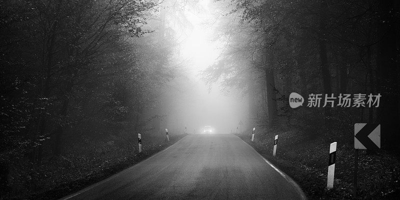 乡村道路上有浓雾，迎面驶来的车辆