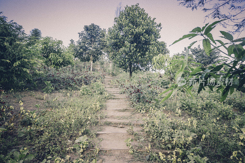 风景优美的泰派山路上山水自然