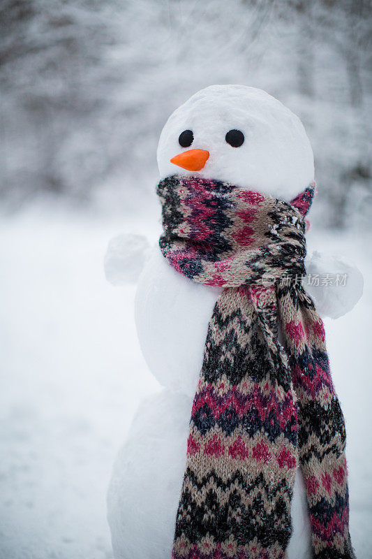 森林里的雪人