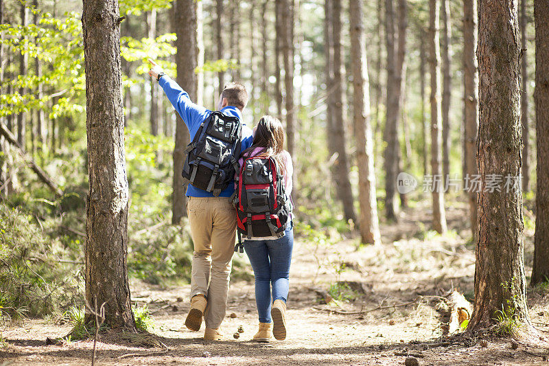 年轻夫妇在森林中徒步旅行的后视图
