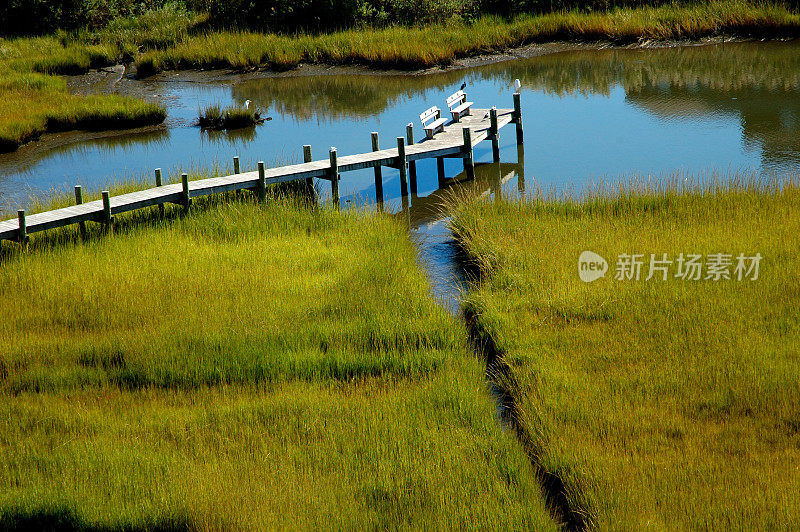 沼泽