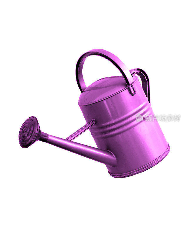 紫色的喷壶