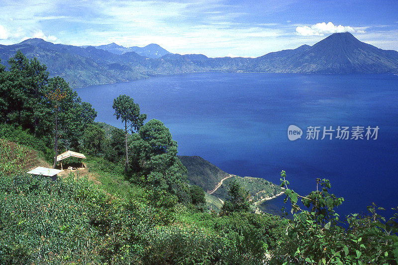 位于中美洲危地马拉阿提特兰湖火山口边缘的玉米地