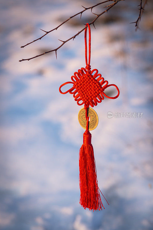 繁荣的中国新年与龙硬币在雪