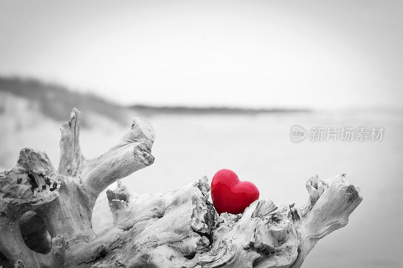 沙滩上树干上的红心。爱的象征。红色映衬着黑色和白色