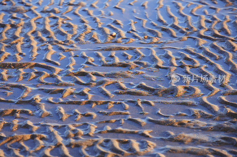 海边的一粒沙子