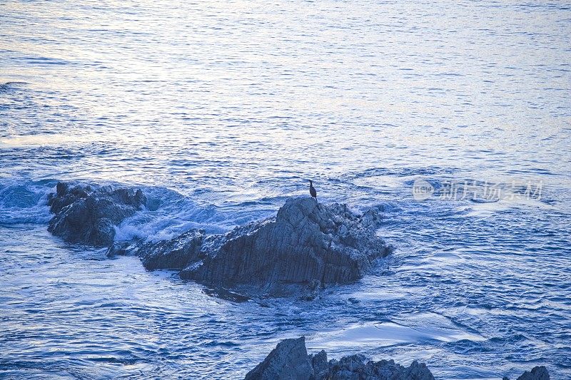 海滩海浪海岸