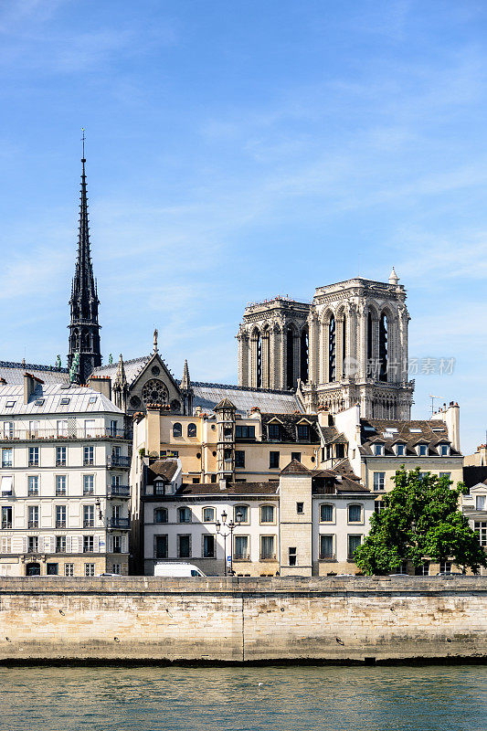 巴黎圣母院的巴黎圣母院大教堂与中世纪和奥斯曼建筑在前景