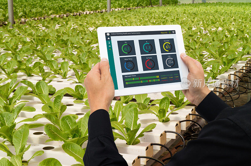 物联网智能工业机器人4.0农业概念，工业农学家，农民使用平板电脑监测，控制条件在垂直或室内农场，数据包括Ph值，温度，Ic，湿度，二氧化碳