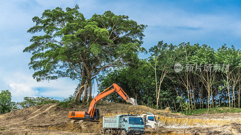 砍伐雨林的挖掘机和卡车