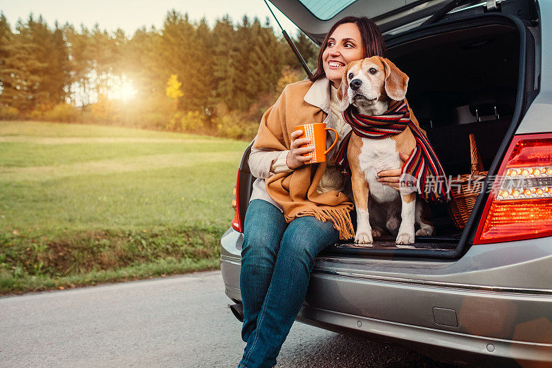 秋天的路上，一个女人和一只披着披肩的狗一起坐在汽车后备箱里