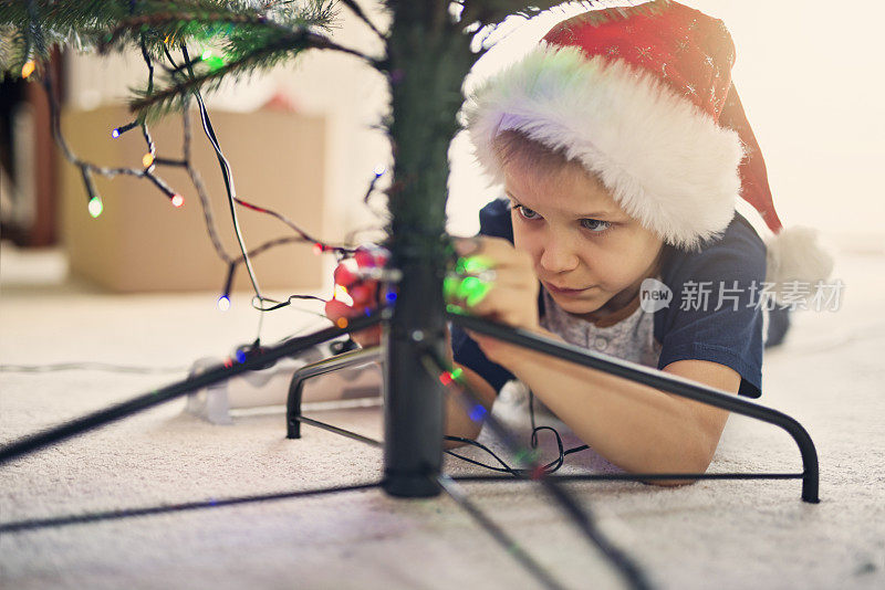 小男孩把灯挂在圣诞树上