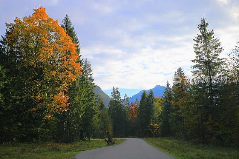 在奥地利Tirol，靠近Karwendel山脉和巴伐利亚阿尔卑斯在德国雄伟的高山景观在金色的秋天，戏剧性的Tirol山脉全景和田园式的Tirol草地，奥地利