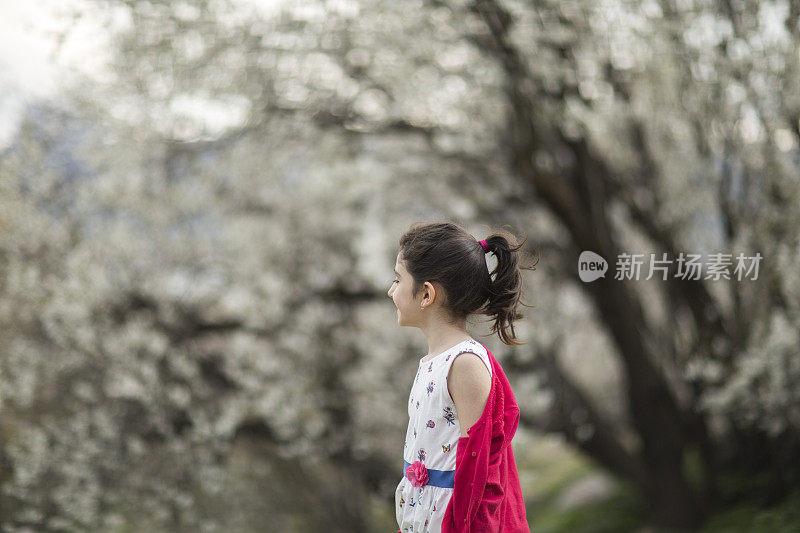 美丽的小女孩在花圃里