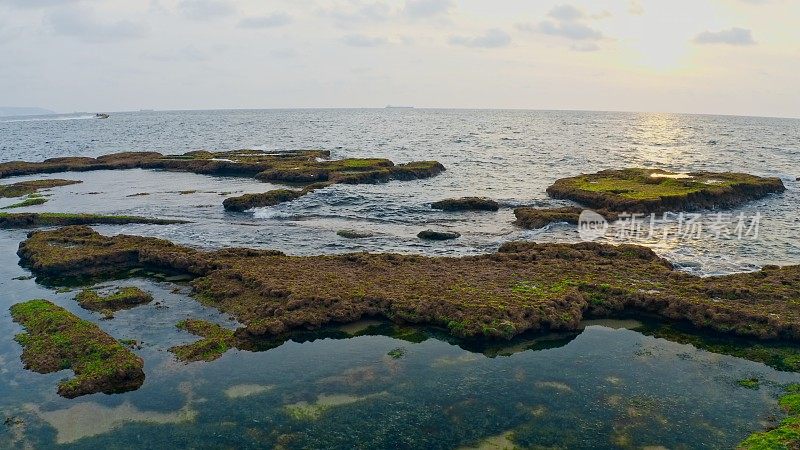 在长满苔藓的岩石海岸上的日落