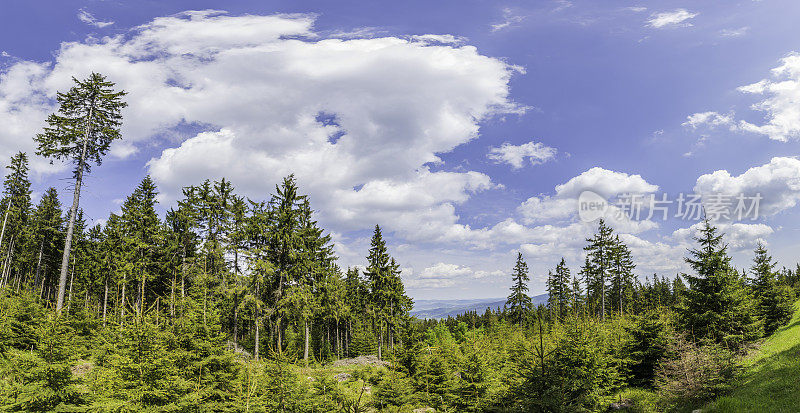 全景山景