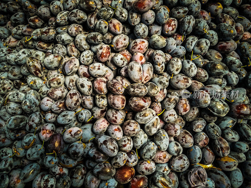 一堆新鲜的有机梅子在食品市场出售