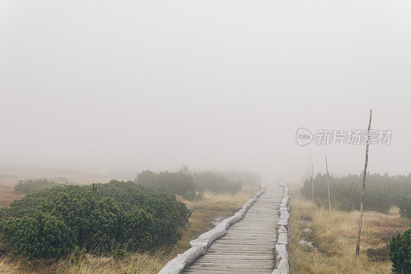 迷雾笼罩的神秘山路