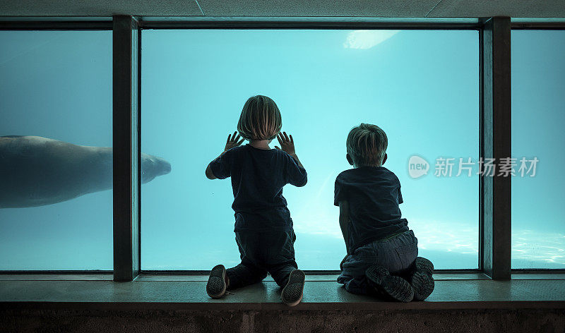 孩子看水族馆