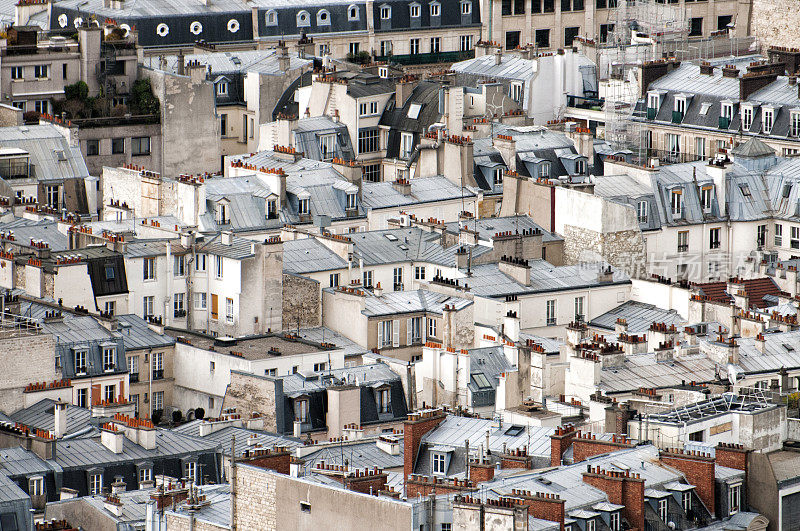 巴黎:锌屋顶景观