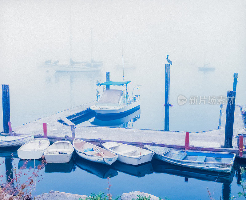 莫罗湾渔船和鹈鹕港口大雾中(P)