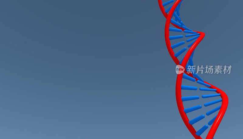 dna分子生物化学的概念