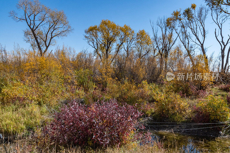 秋景非常乡村的蒙大拿牧场草原