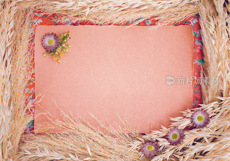 空玫瑰色手工纸空白潘帕斯草和干谷类植物手工纸在波西米亚看