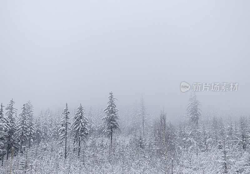 美丽的雪山冬季景观