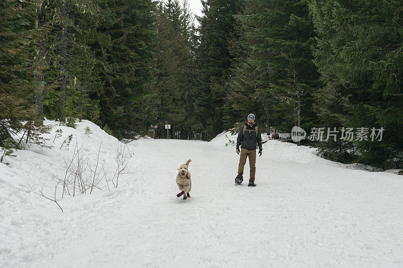 金嘟嘟狗和他的人在雪地里玩