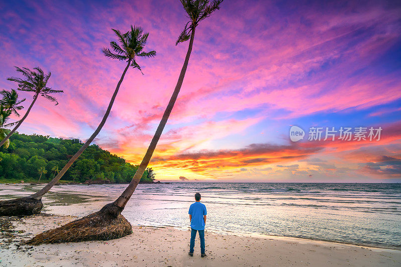 一个路人站在椰子树旁看日出的剪影