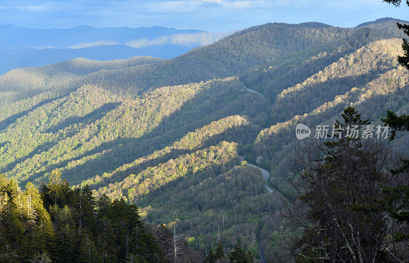 美国北卡罗来纳州斯莫基山国家公园的道路。