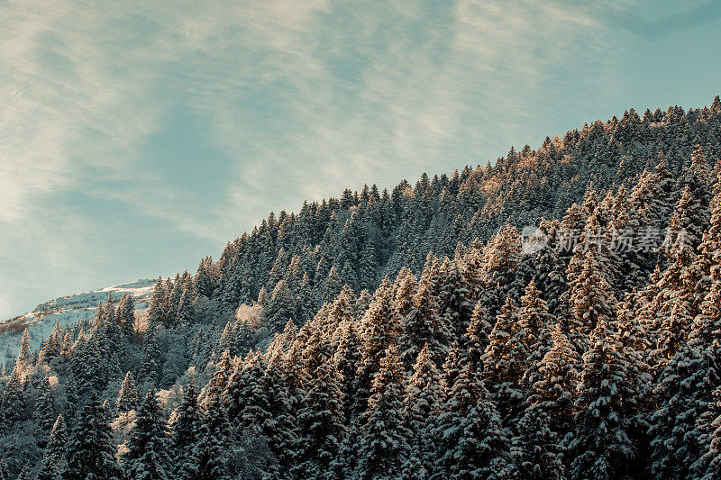 降雪，山脉和冬天