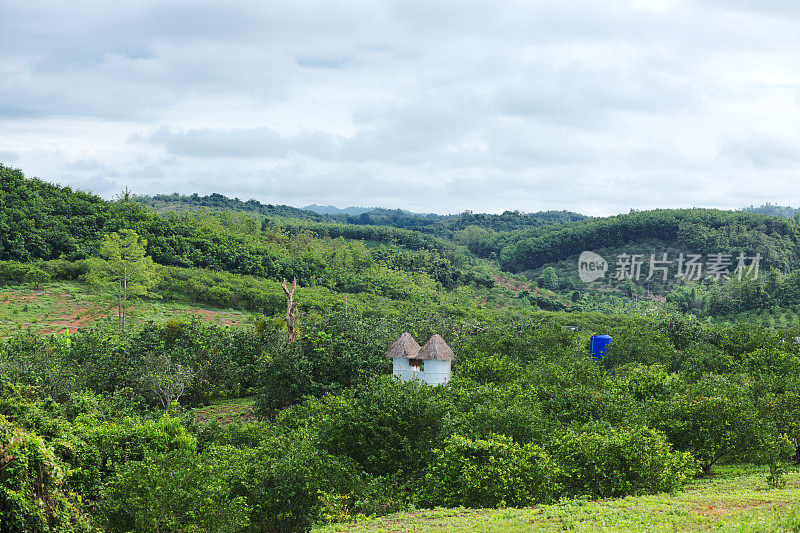 森林和山的风景Sukothai