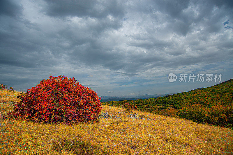 山野秋色，山野平原景观