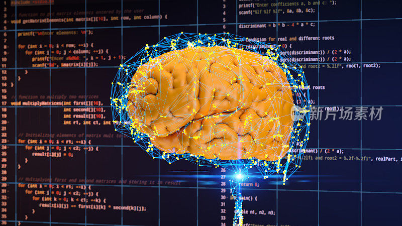 人工智能数字概念与抽象的大脑