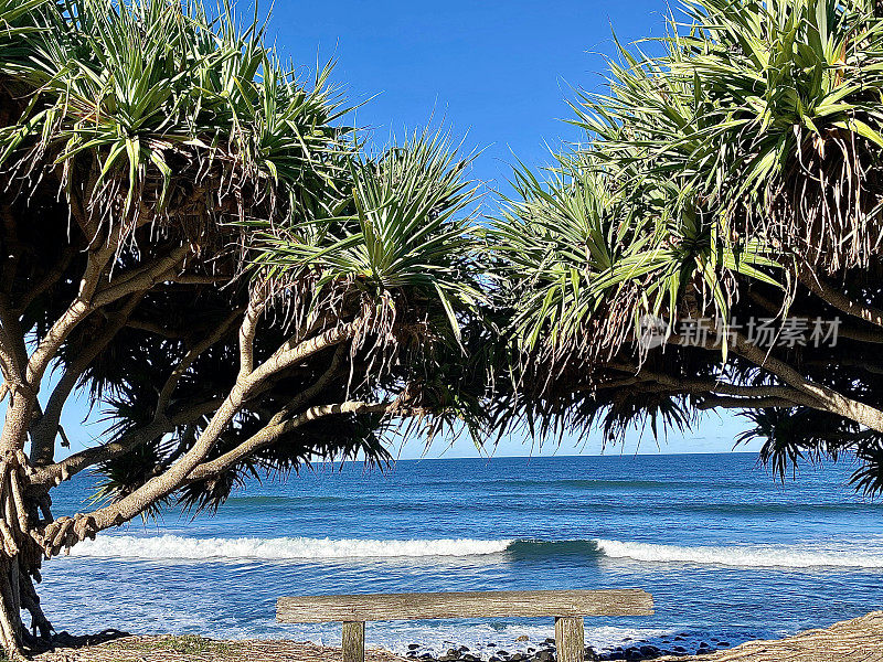 热带树木之间的沙滩长椅