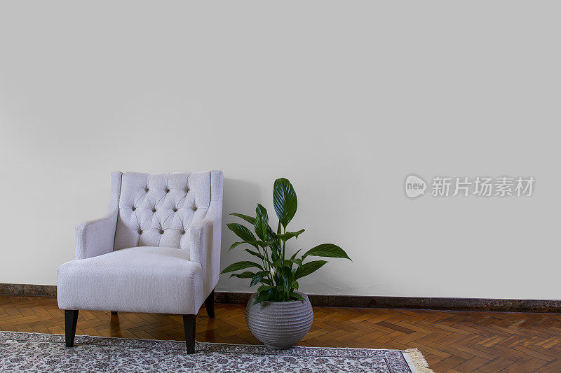 客厅的扶手椅和白色墙壁上的盆栽复制空间