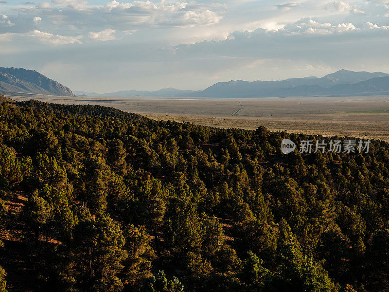 遥远的内华达沙漠山谷，上面是小刺杜松林。