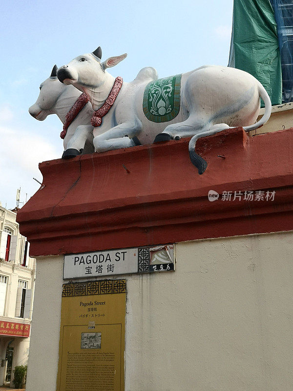 牛像在宝塔街，新加坡唐人街